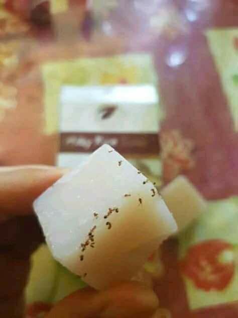 Salah satu bukti bahwa SR12 adalah herbalsabun aja di kerumuni  semut, kalo ada bahan kimia berbahaya pasti semut gak bakal mau, jadi gak ada keraguan dalam SR12 yaa.....🥰🥰🤩🤩🥛🍚 MILKYRICE SOAP 🍚🥛No BPOM : NA18170500702Perpaduan beras dan susu dipercaya dapat mengurangi kadar minyak wajah dan tetap menjaga kelembaban kulit.  Dengan pemakaian rutin diperkaya beras dan susu, vit B3, vit E dapat mengurangi noda wajah dan menjadikan kulit wajah lebih cerah.  *Sabun ini berekomendasikan untuk tipe kulit wajah normal / kombinasi cenderung kering.Ready ya...ORDER/KONSULTASI (free):WA/telegram 👉0821-5799-8873AGEN RESMI SR12 HERBAL SKINCARE BALIKPAPAN, KAL-TIMSalah satu bukti bahwa SR12 adalah herbalsabun aja di kerumuni  semut, kalo ada bahan kimia berbahaya pasti semut gak bakal mau, jadi gak ada keraguan dalam SR12 yaa.....🥰🥰🤩🤩🥛🍚 MILKYRICE SOAP 🍚🥛No BPOM : NA18170500702Perpaduan beras dan susu dipercaya dapat mengurangi kadar minyak wajah dan tetap menjaga kelembaban kulit.  Dengan pemakaian rutin diperkaya beras dan susu, vit B3, vit E dapat mengurangi noda wajah dan menjadikan kulit wajah lebih cerah.  *Sabun ini berekomendasikan untuk tipe kulit wajah normal / kombinasi cenderung kering.Ready ya...ORDER/KONSULTASI (free):WA/telegram 👉0821-5799-8873AGEN RESMI SR12 HERBAL SKINCARE BALIKPAPAN, KAL-TIM